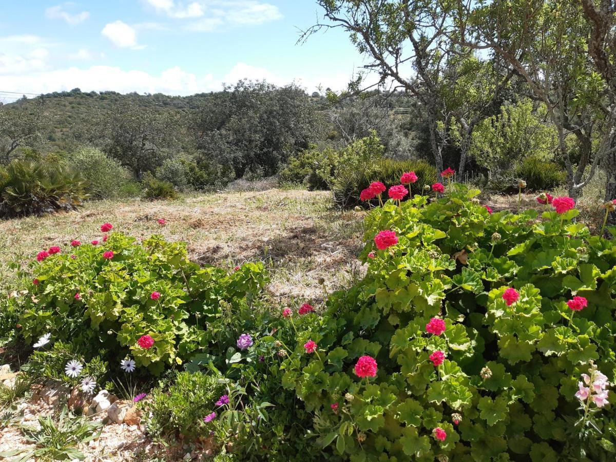 Quinta da Jolanda-Happy Family Farm Apartment Lagos Bagian luar foto